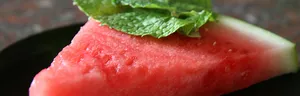 Watermelon Mint Sorbet